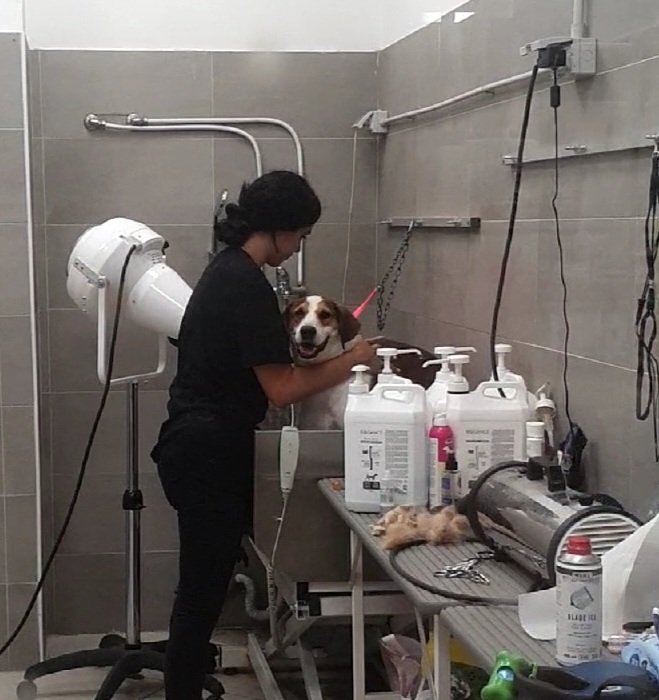 Zooplanet Lacchiarella - Foto 4