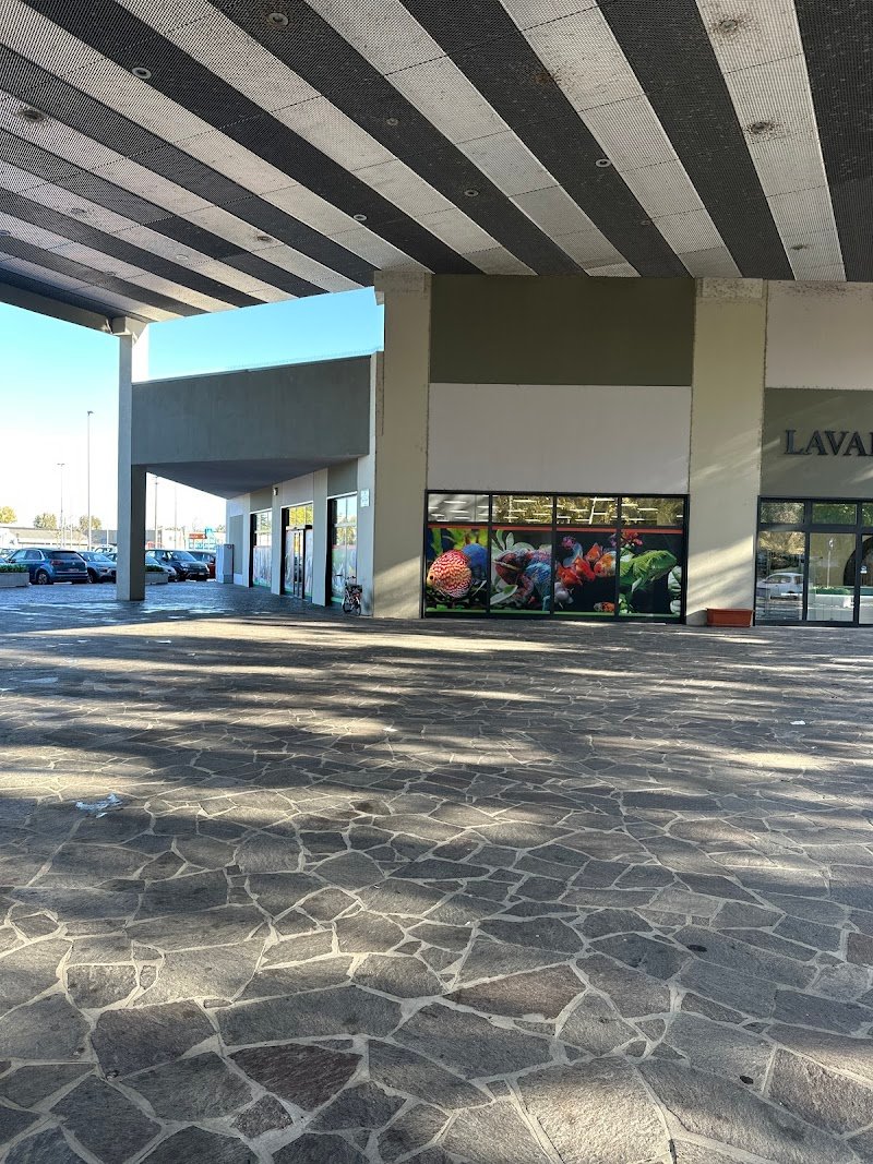 Zooplanet Lacchiarella - Foto 5